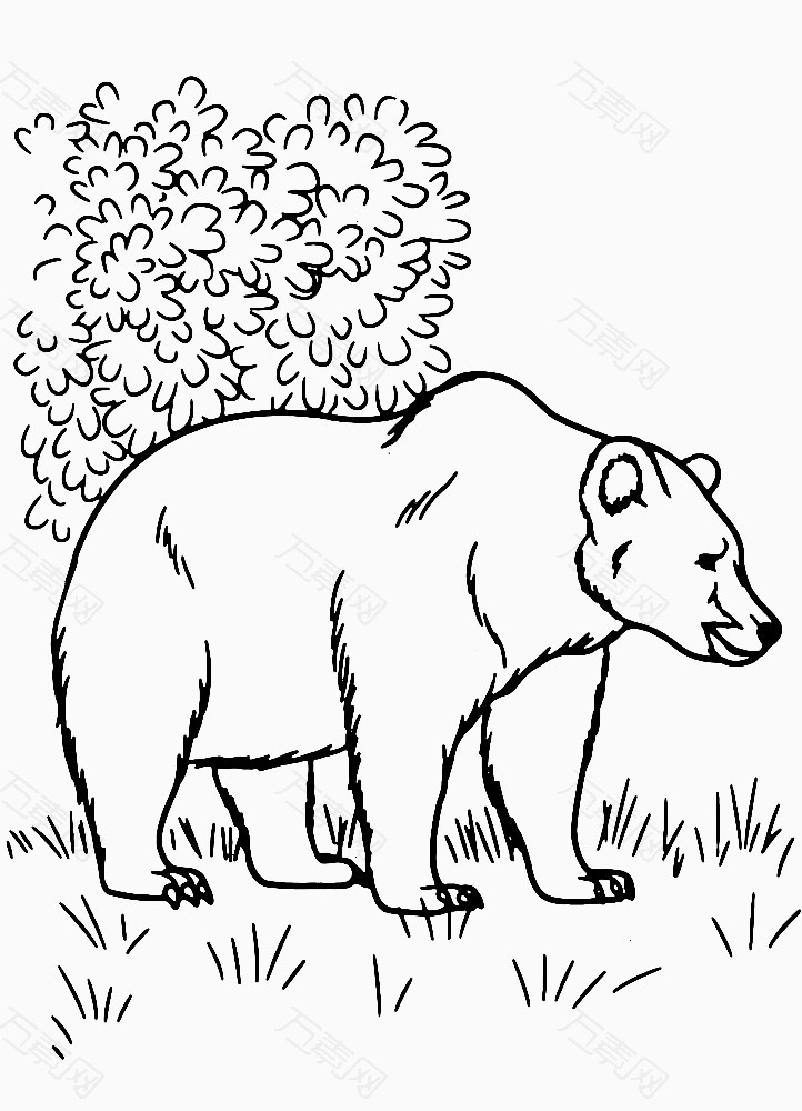棕熊 线稿图