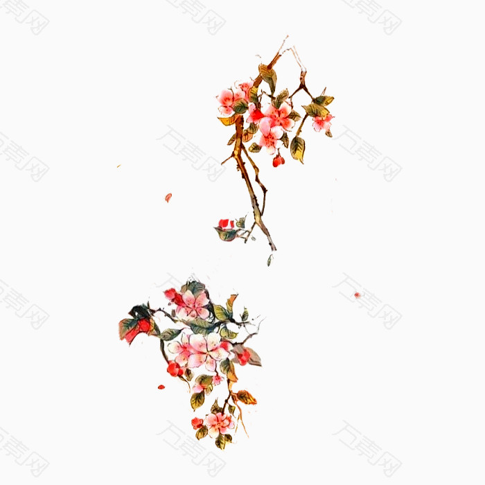 清新唯美梅花花枝png