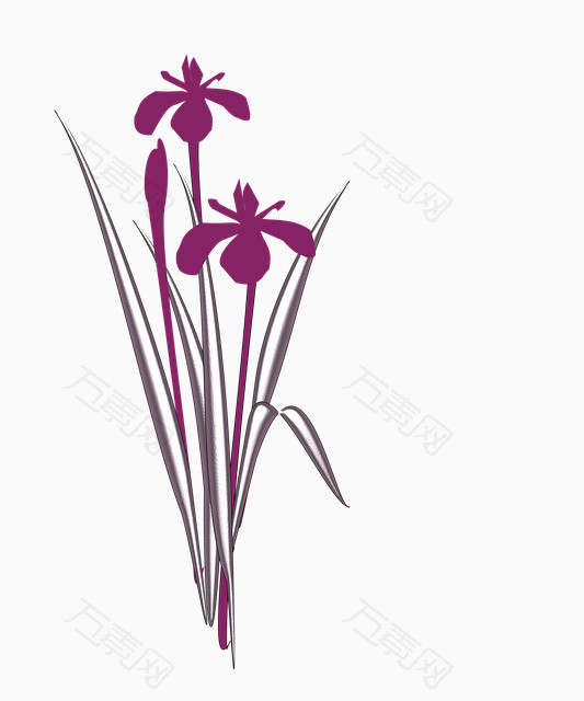 浪漫紫色兰花手绘