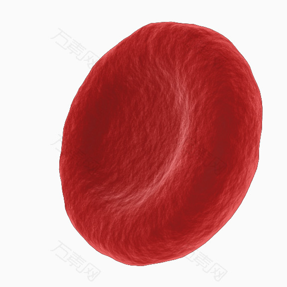 一个红细胞_卡通手绘_576*576px_编号3406938_png格式