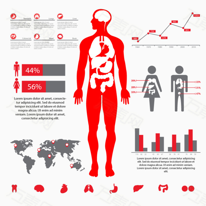 人体器官免抠元素免费下载,图片编号2434127,万素网