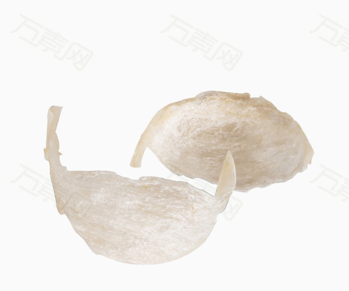 万素网 免抠元素 装饰元素 燕窝  万素网提供燕窝png设计素材,背景