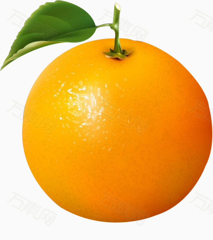橙子 卡通橙子 png素材    