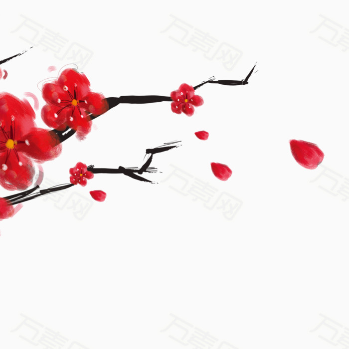 红色的梅花