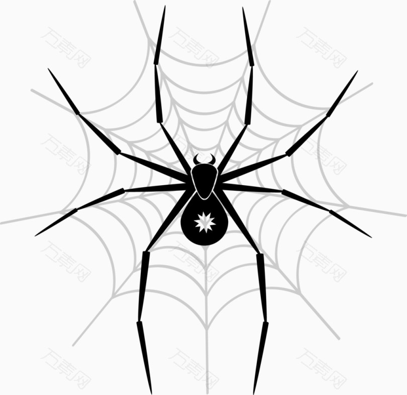 蜘蛛卡通矢量图