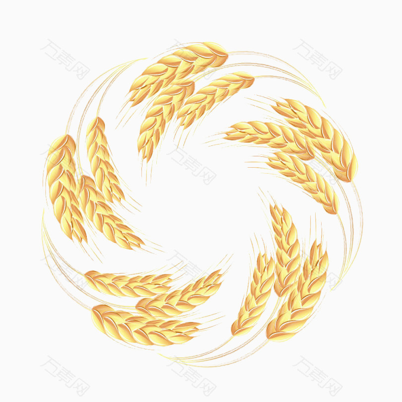 卡通质感麦穗元素