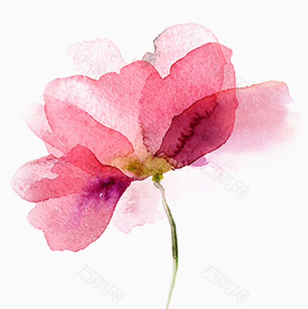 水粉画粉红色的花
