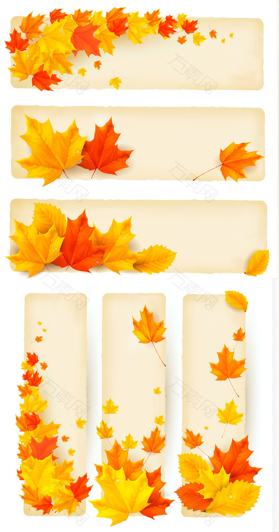秋天枫叶横幅