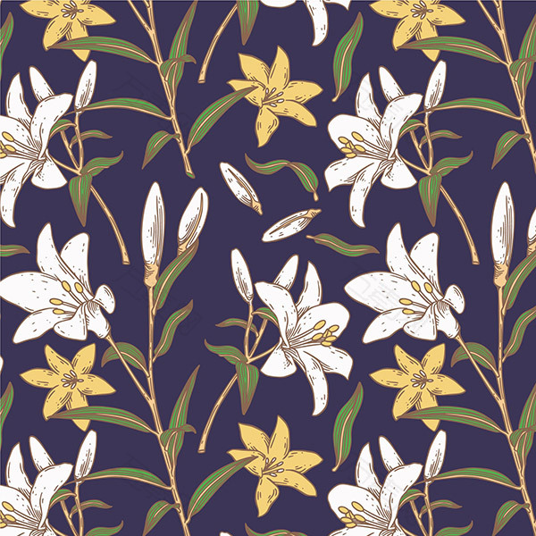 手绘百合图案矢量背景