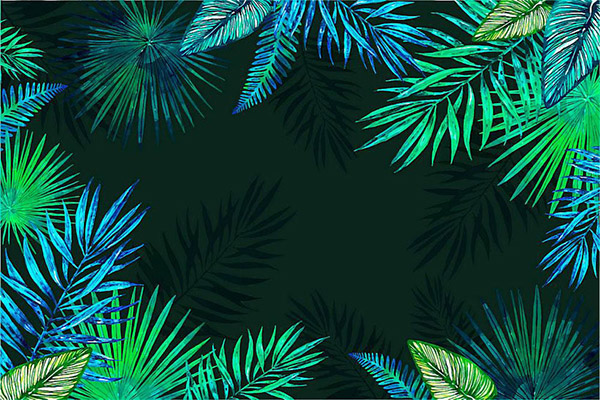热带绿叶背景边框