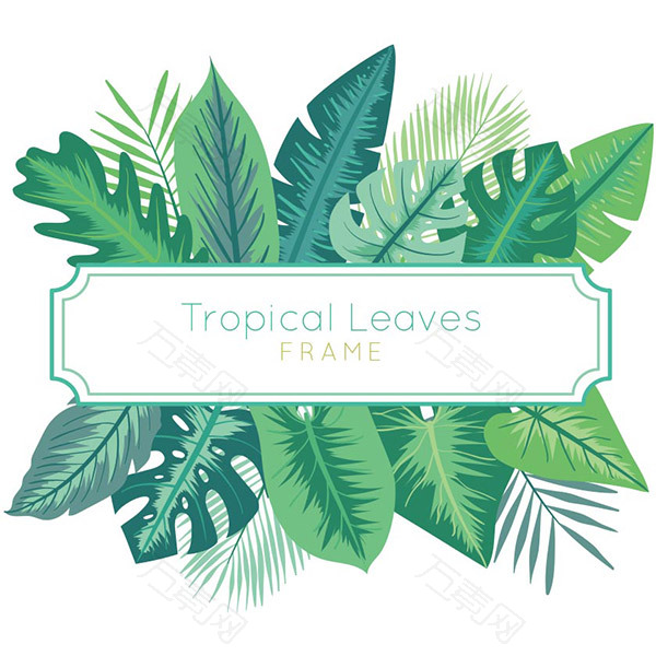 热带植物框架