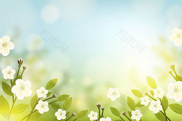 梦幻花边角背景