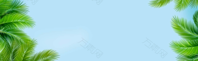 椰树背景