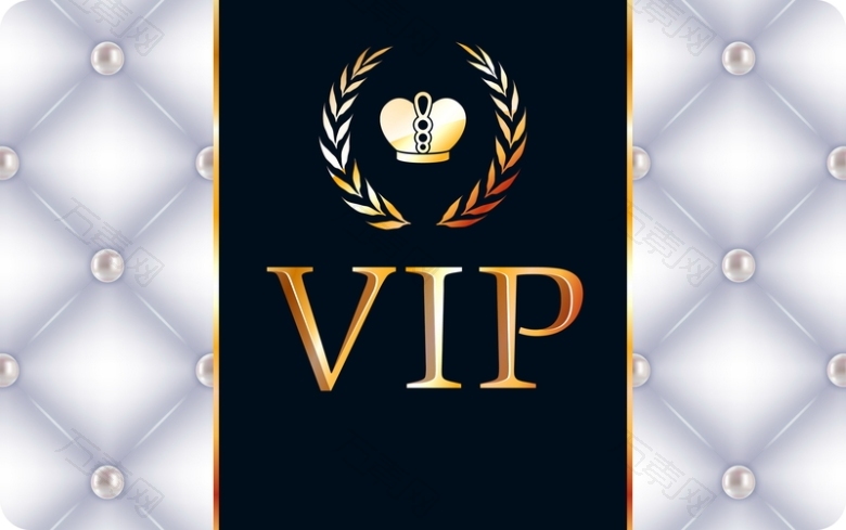 VIP会员