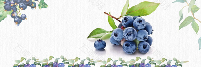 清新文艺水果生鲜食品蓝莓淘宝banner