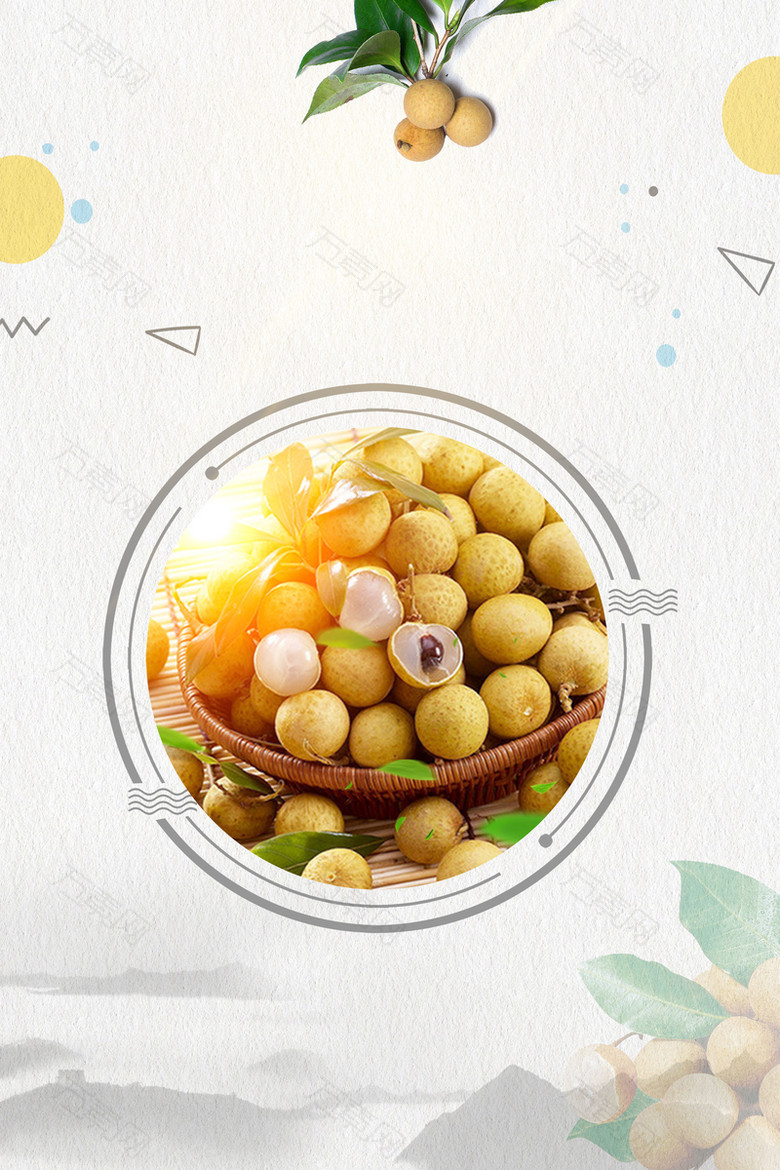 简约水果美味桂圆