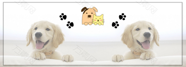 宠物美容背景Banner