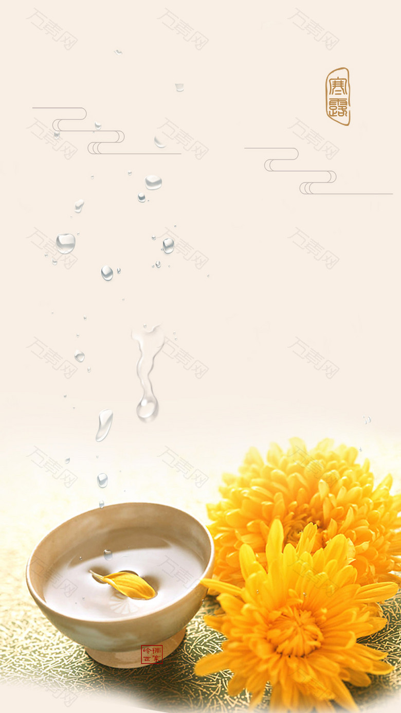 早餐饮品菊花茶悠闲生活