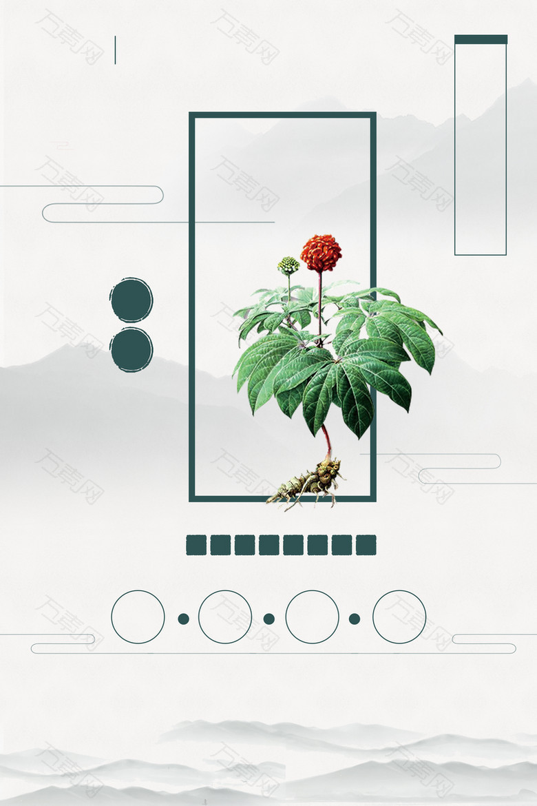 中国风清新草药植物背景