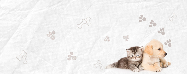 宠物手绘图片-宠物手绘素材下载-万素网