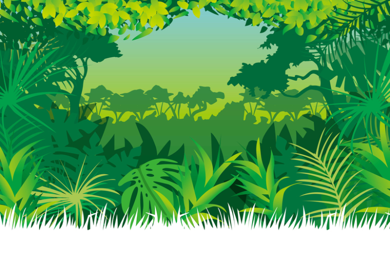 森林背景图图片 森林背景图素材下载 万素网