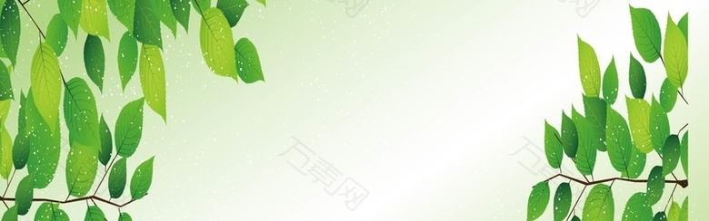 高清树叶背景