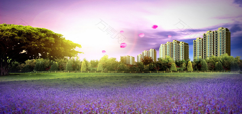梦幻风景浪漫薰衣草海报banner背景
