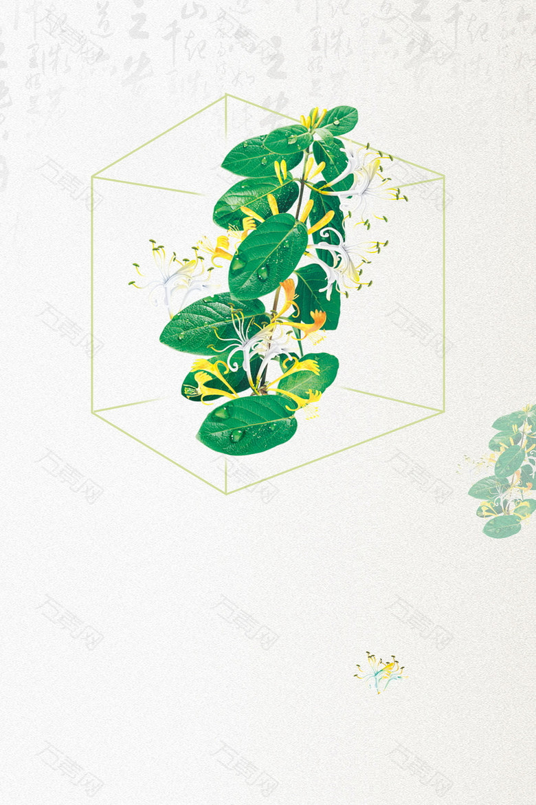 清新金银花药材花茶