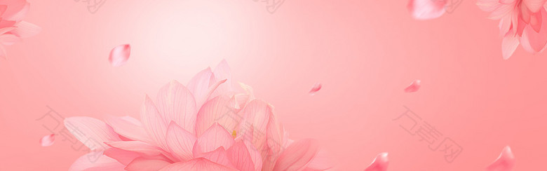 粉色莲花banner