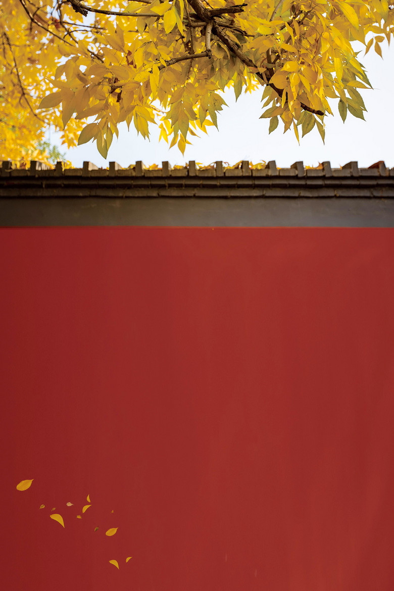 入秋图片 入秋素材下载 万素网