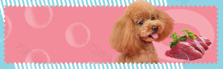 可爱简约小狗狗粮促销banner