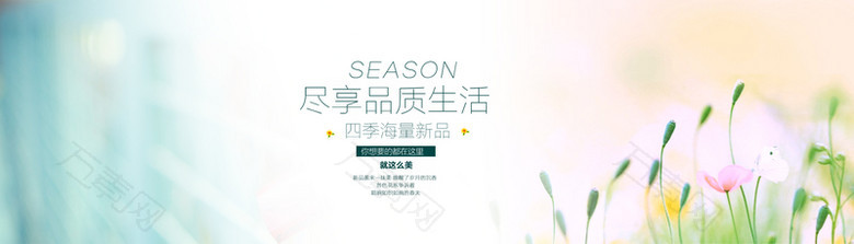 淘宝清新女装夏装春装秋装服装绿色背景banner