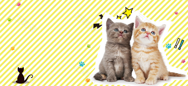 宠物美容卡通童趣手绘banner