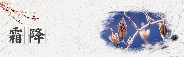 霜降二十四节气banner