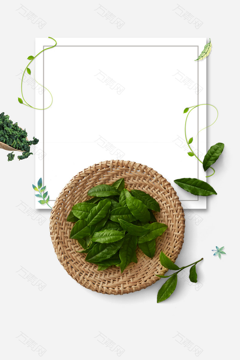 生态绿茶白色简约促销海报