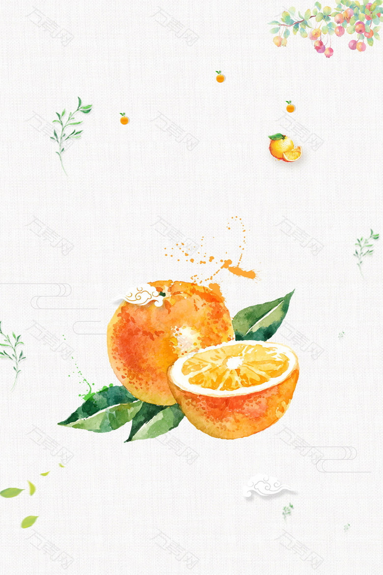 小清新新鲜蜜桔水果