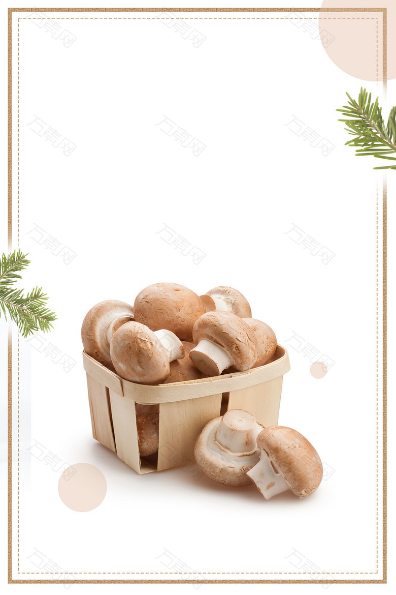 简约美味香菇促销