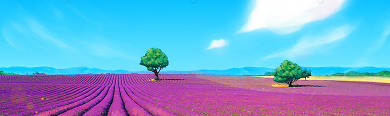 婚庆banner图