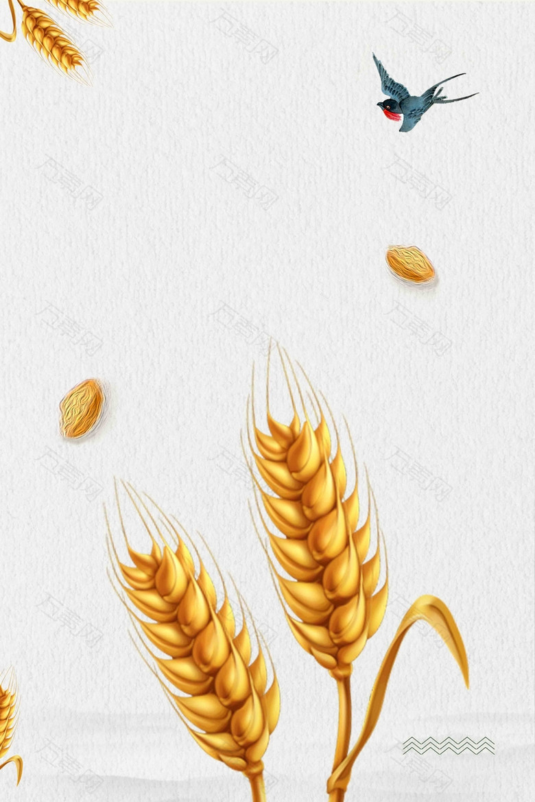 小满二十四节气宣传海报