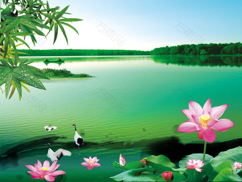 清新自然荷花背景