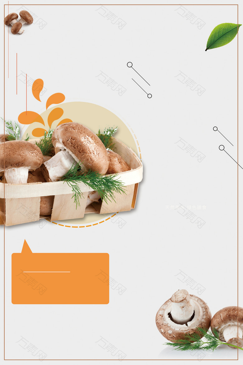 时尚美味绿色食品香菇背景素材