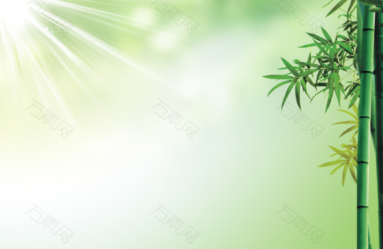 小清新竹子背景图