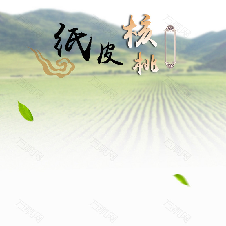 田野风景纸皮核桃PSD分层主图背景素材