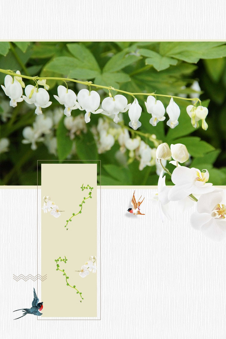 白色花背景 素材 免费白色花背景图片素材 白色花背景素材大全 万素网