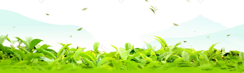 春天景色文艺绿色banner背景