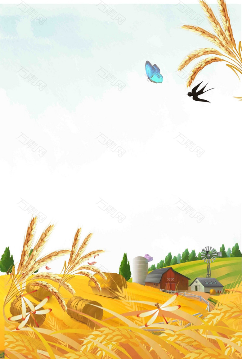 简约唯美芒种海报