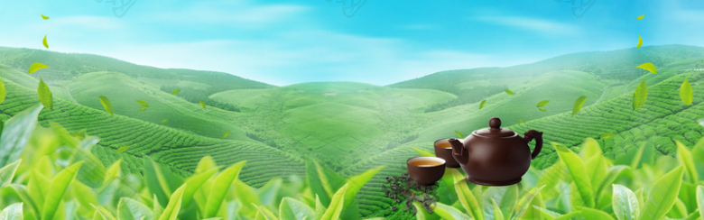中国风大气茶园绿色背景