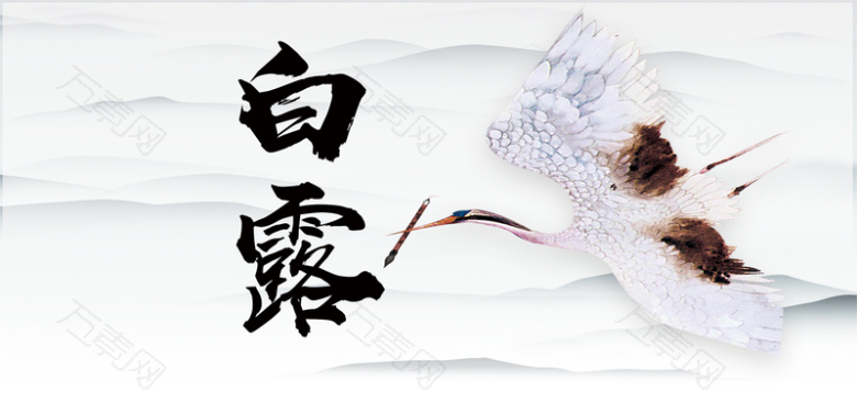 白露传统节气中国风简约白色海报背景