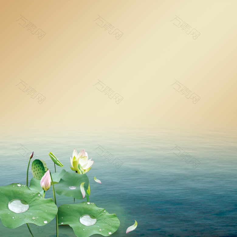 清新古典荷花水塘海报背景模板