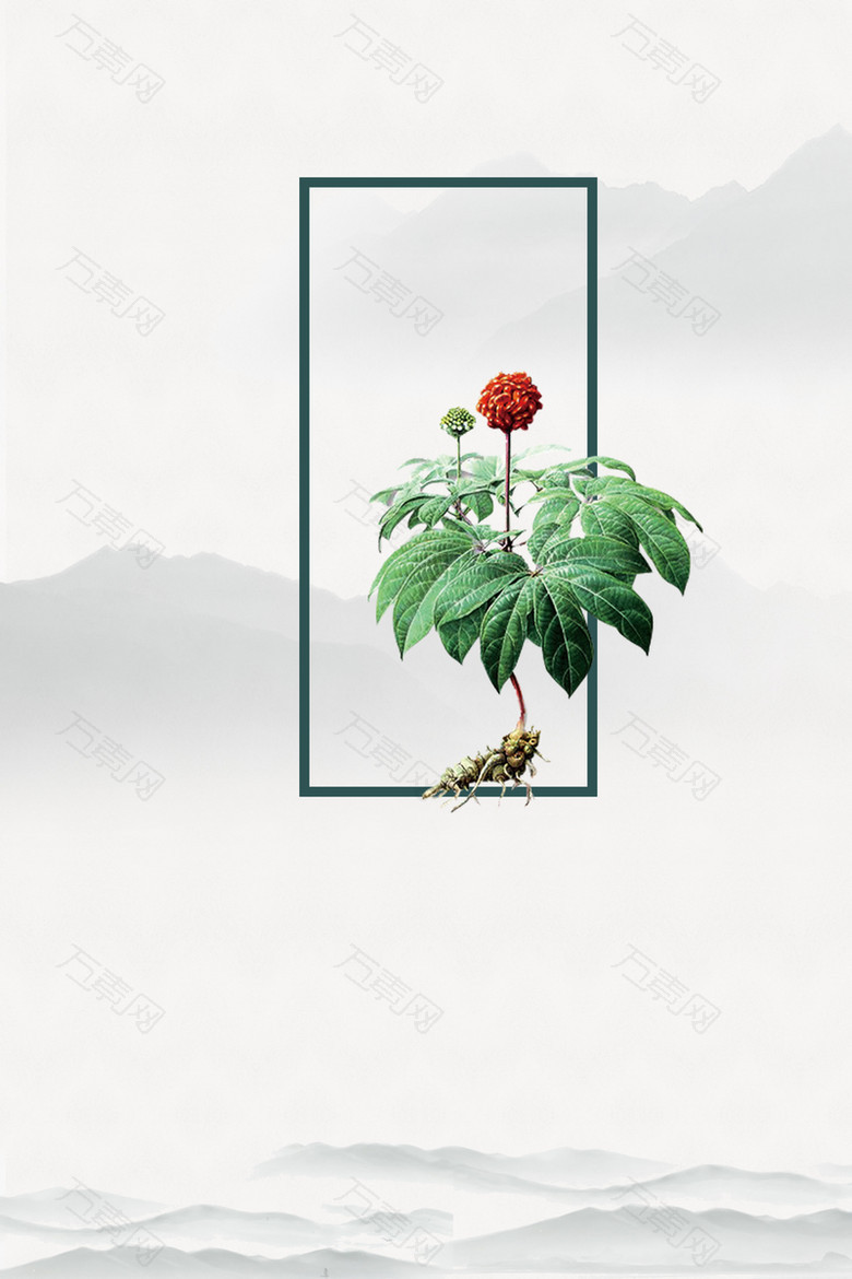药材海报背景素材